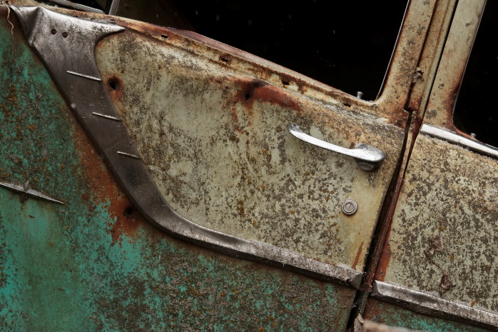 The door of an old Pontiac in a Hardin County woodland